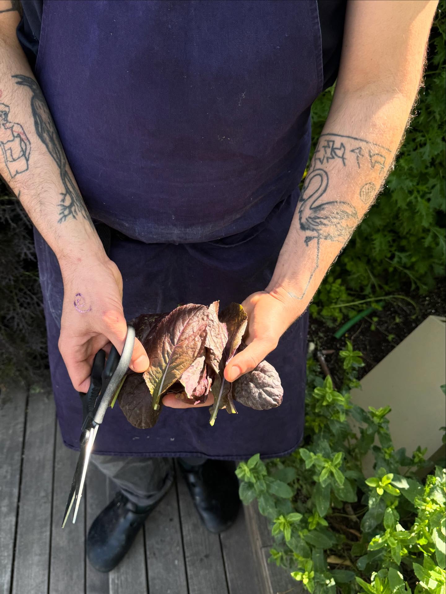 Event flyer: נקטף מהחווה שעל הגג, מגיע אליכם לצלחת.