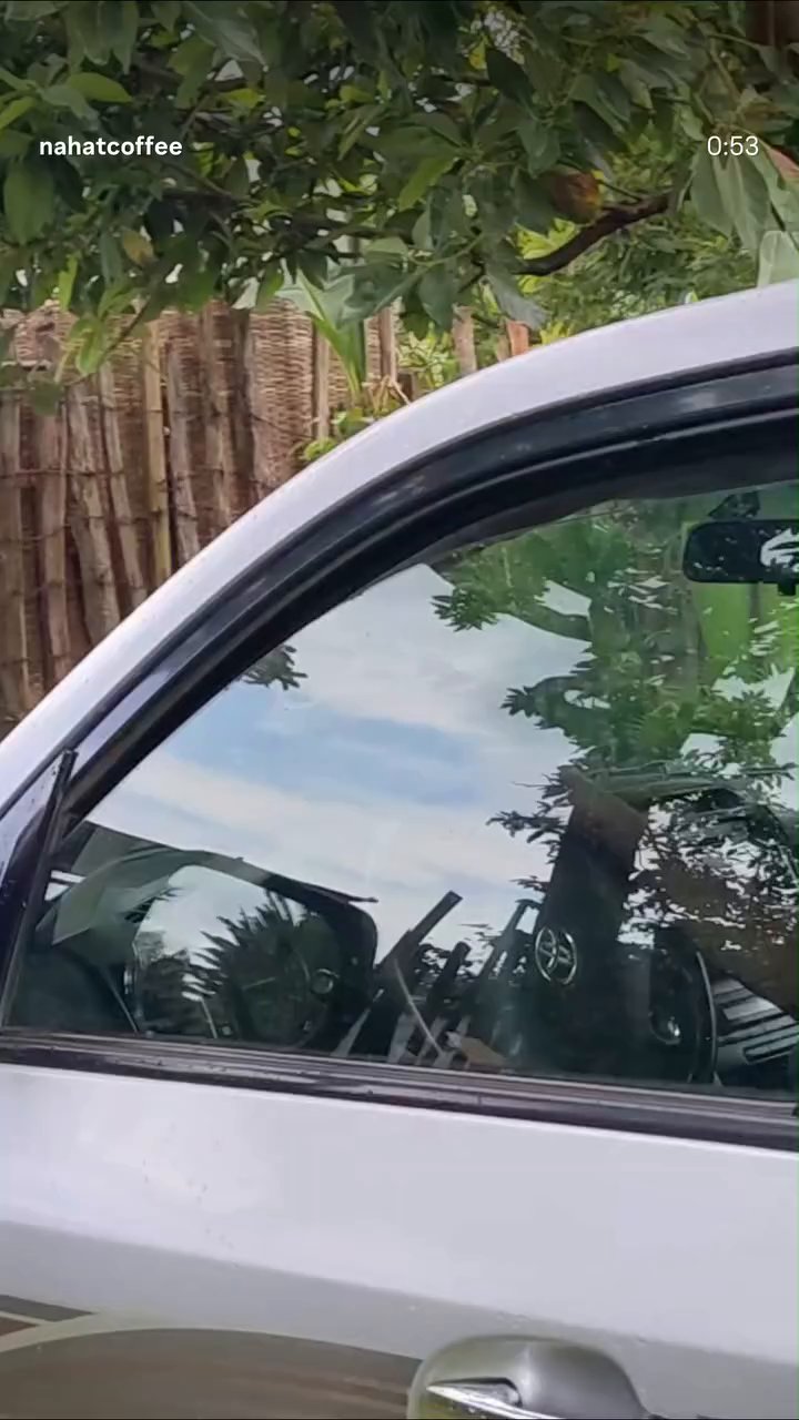 Event flyer: Coffee Journey and Processing