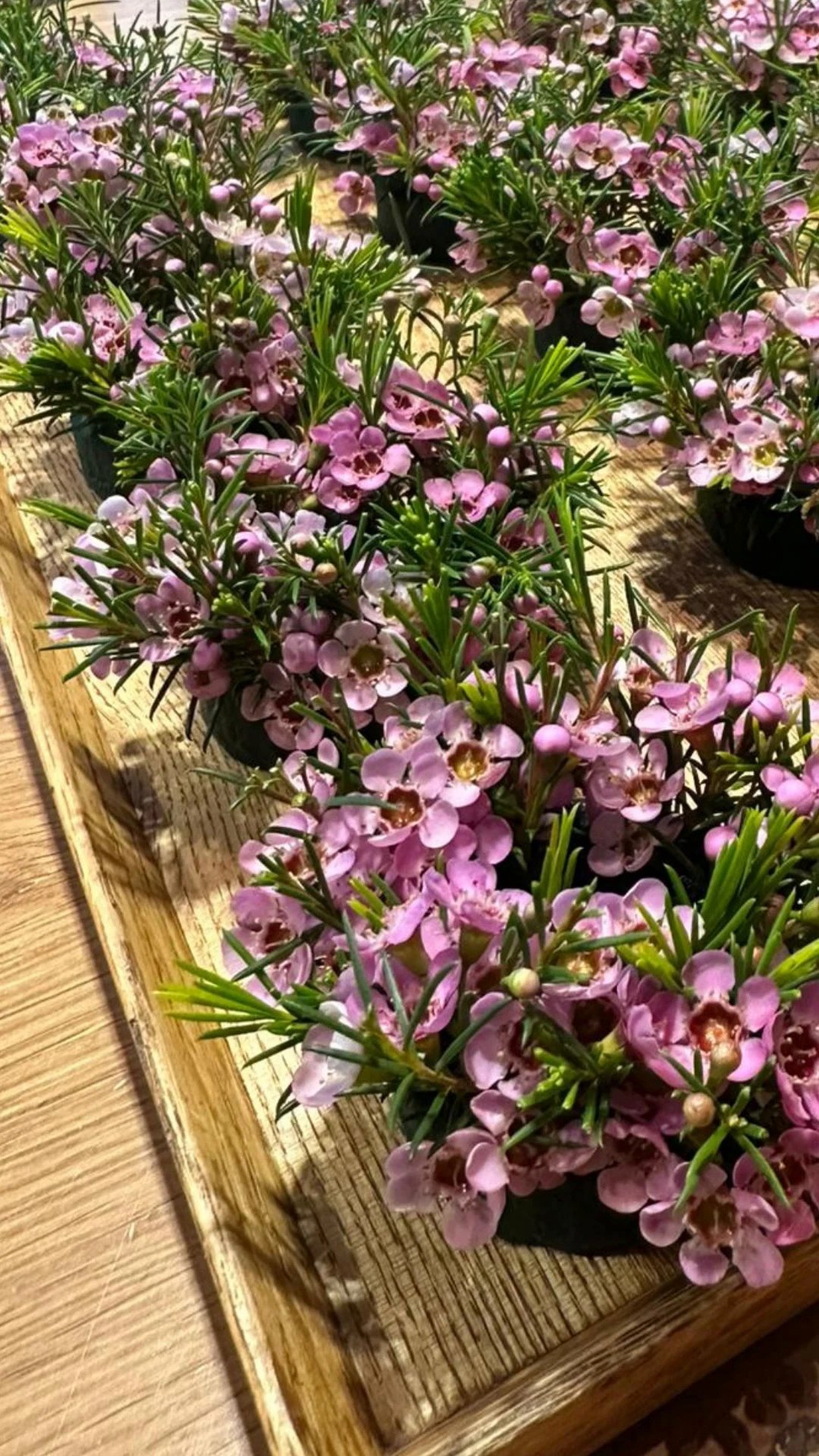 Event flyer: Floral Arrangements