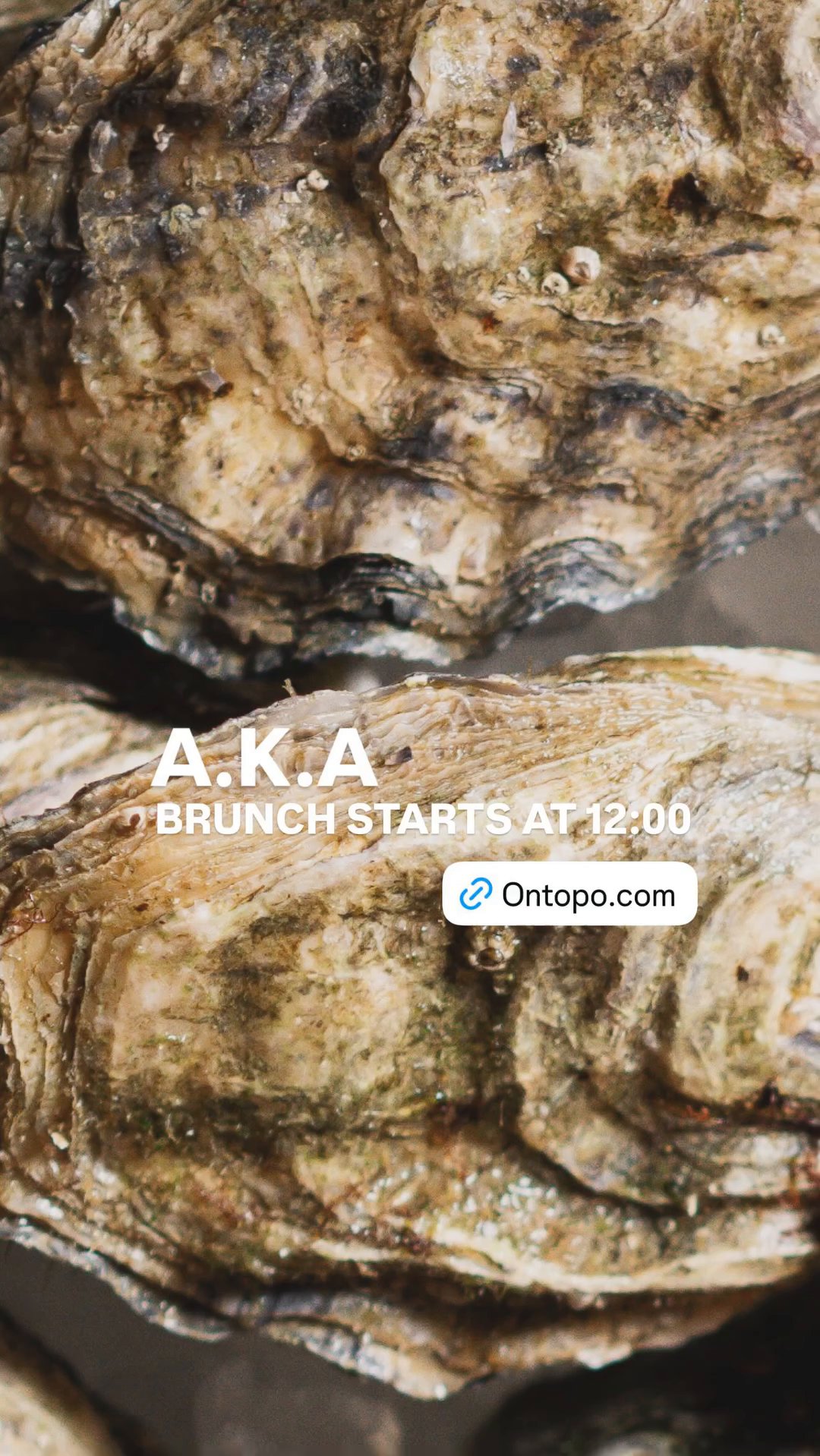 Event flyer: Brunch Starts at 12:00