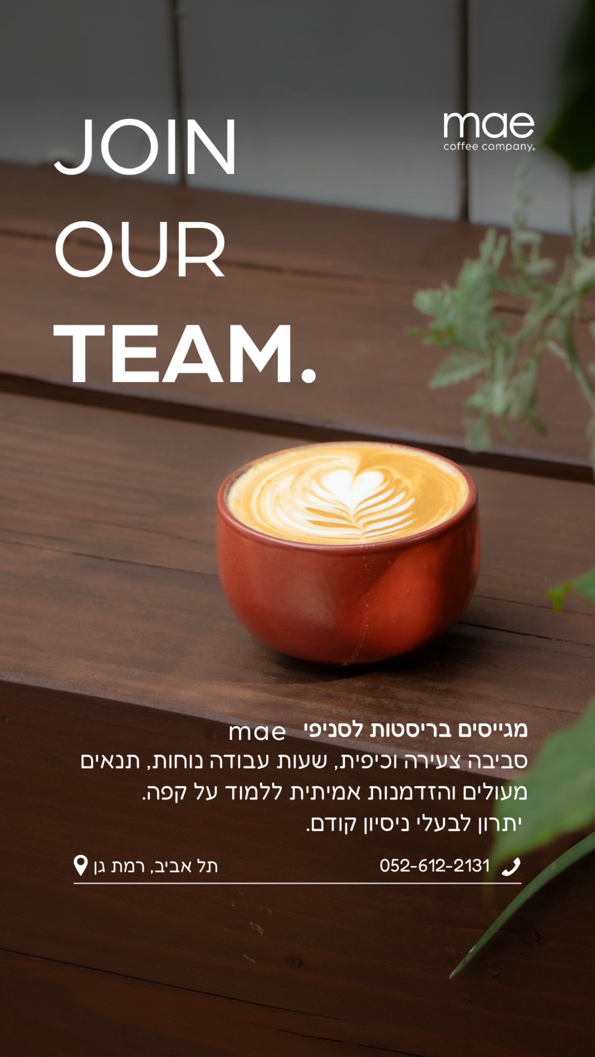 Event flyer: Join Our Team at Mae Coffee Company