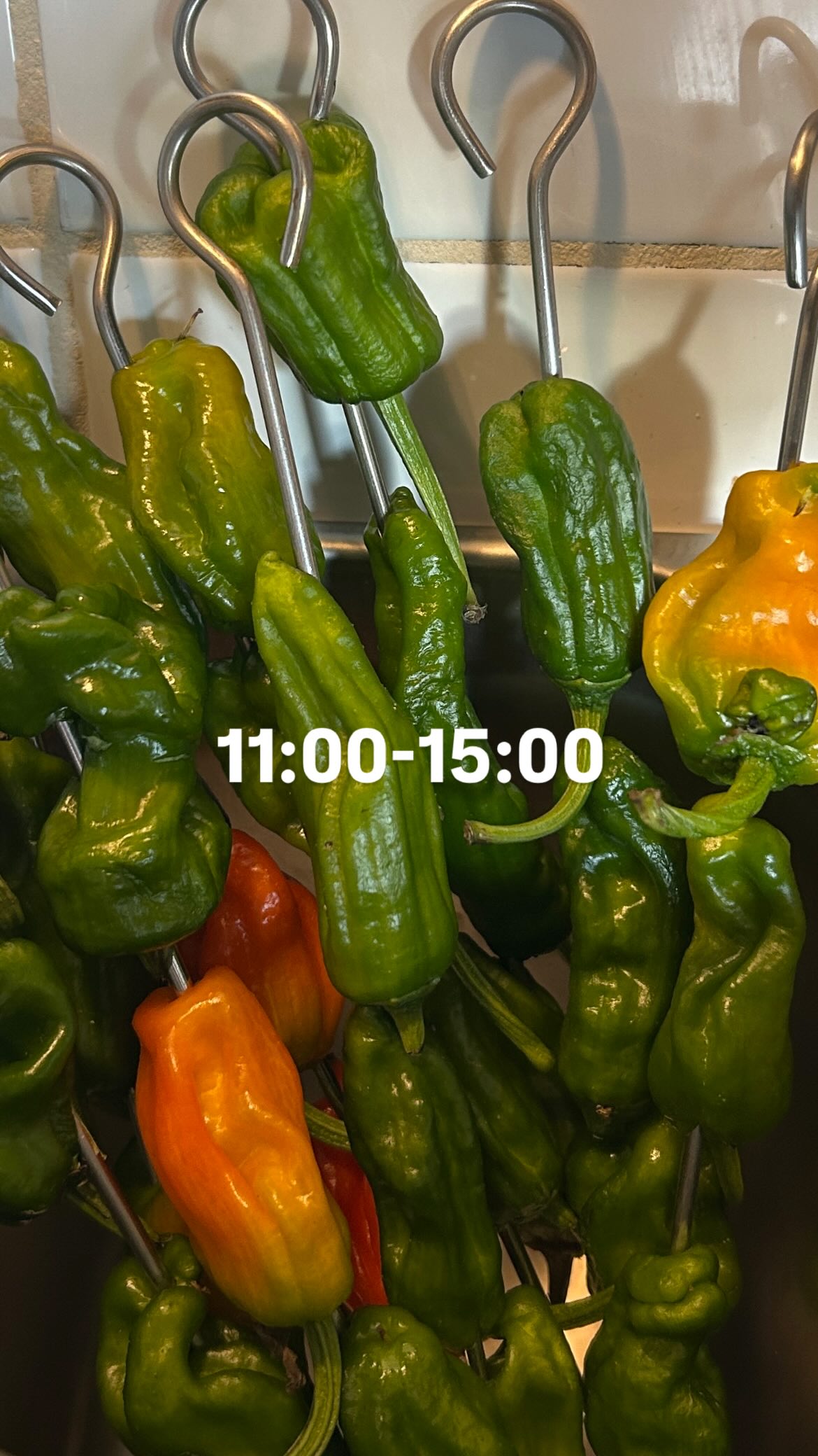 Event flyer: Opening Hours