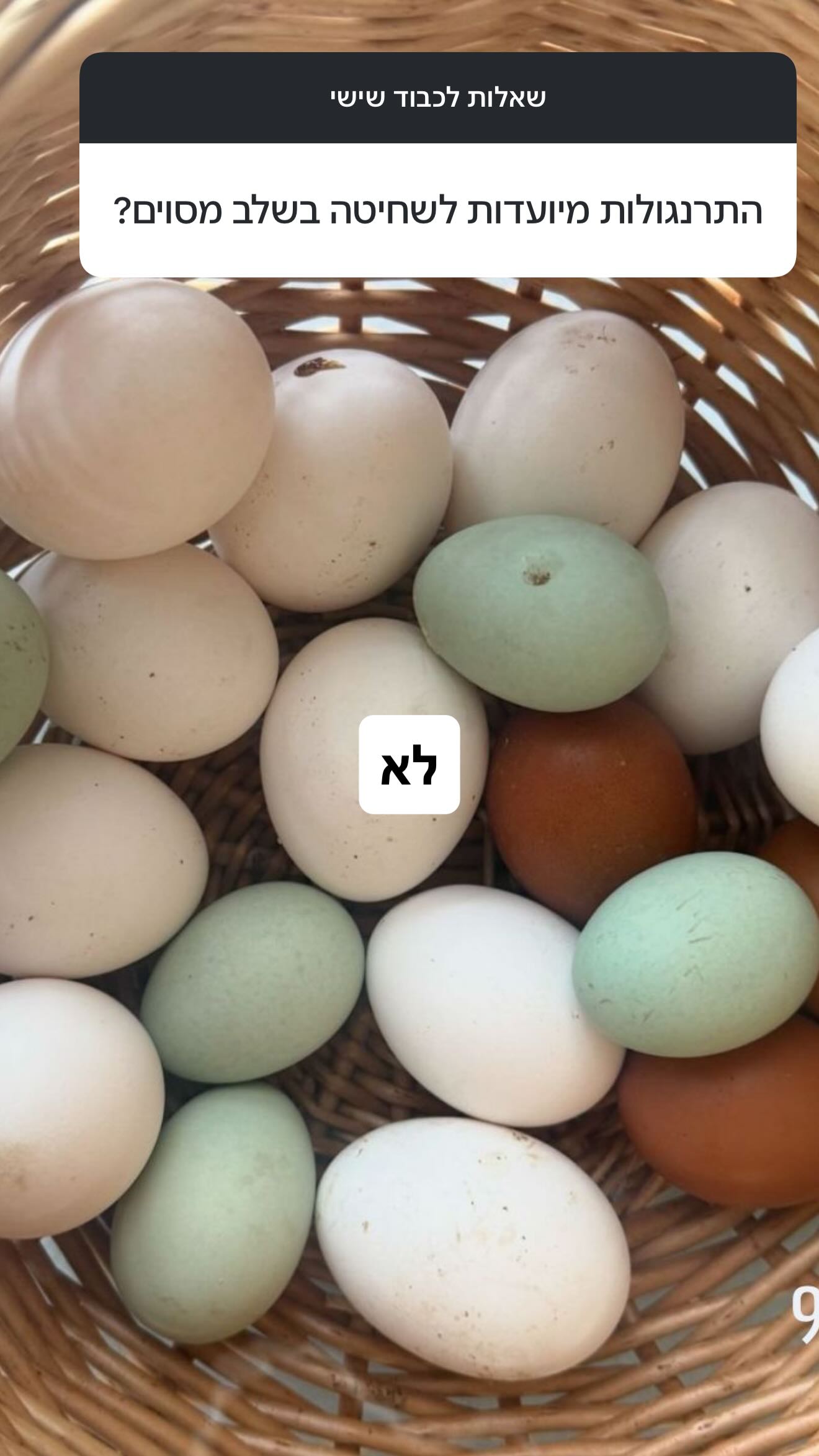 Event flyer: Eggs in a Basket