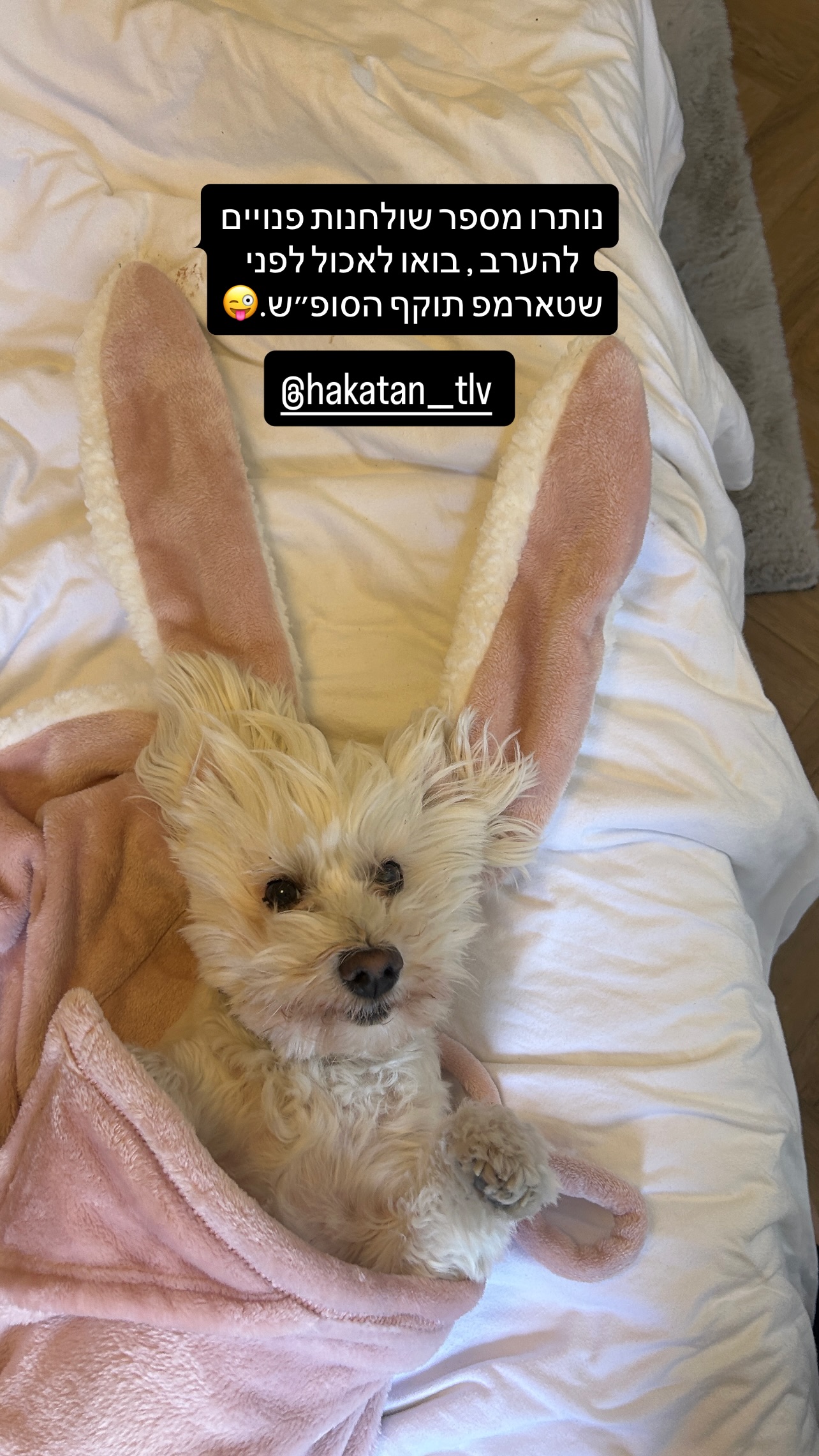 Event flyer: Cute Dog with Bunny Ears